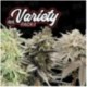 Variety Pack 1