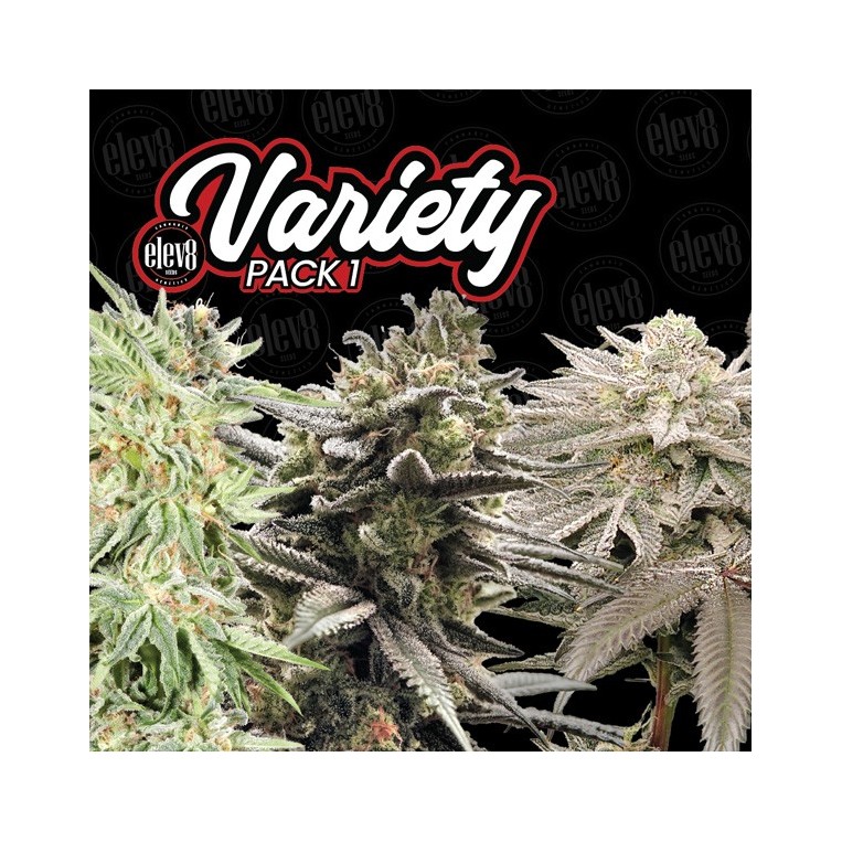 Variety Pack 1