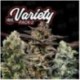 Variety Pack 2