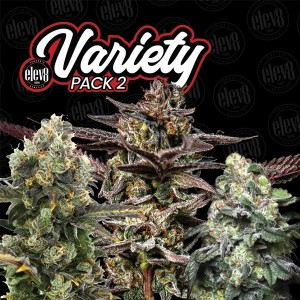 Comprar Variety Pack 2