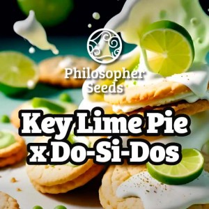 Comprar Key Lime Pie x Do-Si-Dos