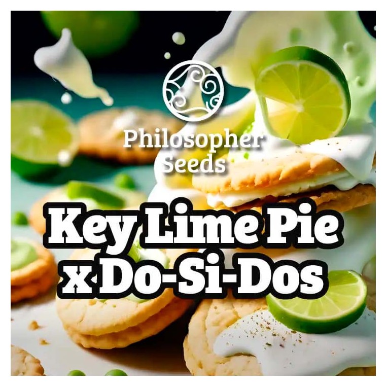 Key Lime Pie x Do-Si-Dos