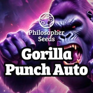 Comprar Gorilla Punch Auto