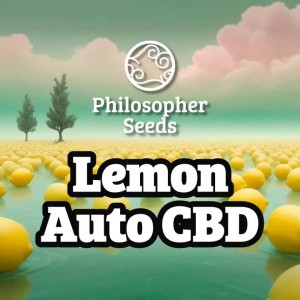 Comprar Lemon Auto CBD