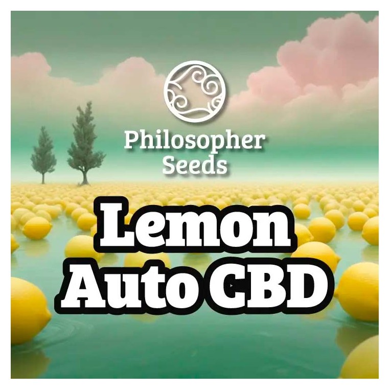 Lemon Auto CBD