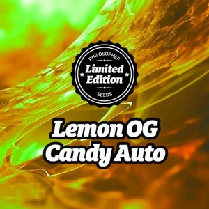 Comprar Lemon OG Candy Auto Ed. Especial