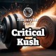 Critical Kush Philosopher Seeds