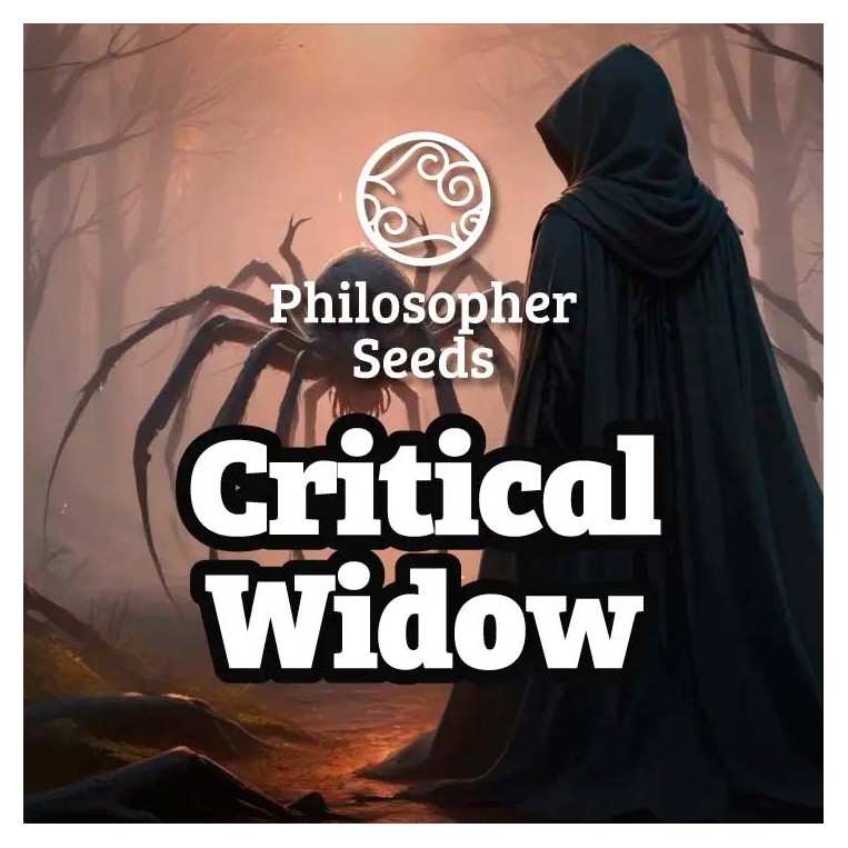 Critical Widow Philosopher Seeds