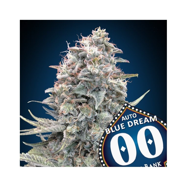 Auto Blue Dream