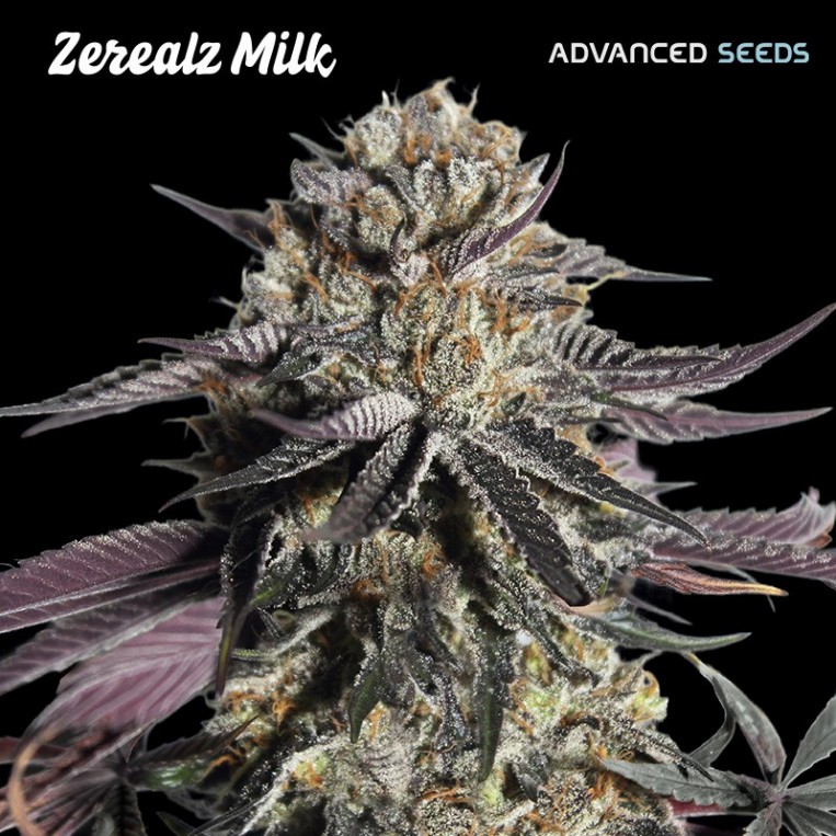 Zerealz Milk