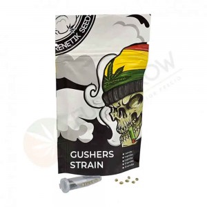 Comprar Gushers Strain