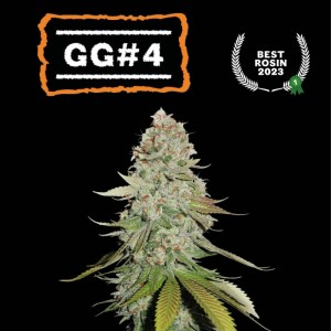 GG4