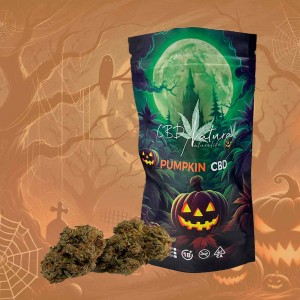 Comprar Pumpkin CBD