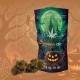 Flores CBD Pumpkin CBD