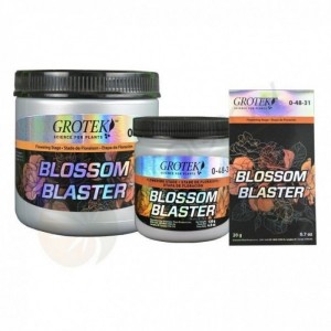 Comprar Blossom Blaster Black Friday 500GR