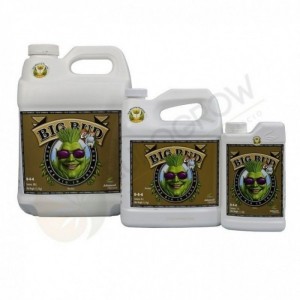 Comprar Big Bud Coco Oferta Marzo 10L