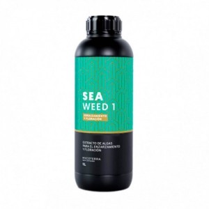 Comprar Sea Weed 1