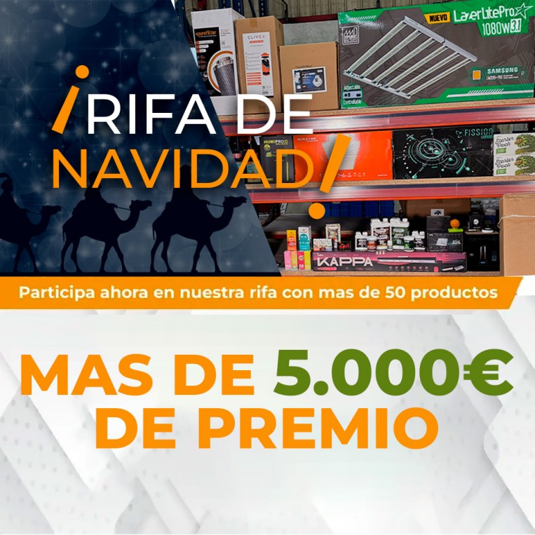 Sorteo Cesta de Reyes