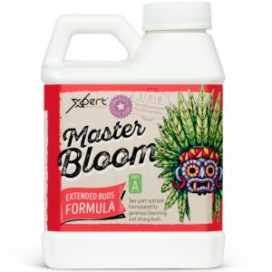 Comprar Xpert Nutrients Master Bloom A+B