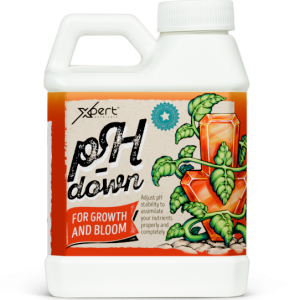 Comprar Xpert Nutrients Ph Down