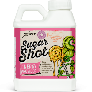 Comprar Xpert Nutrients Sugar Shot