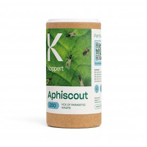 Comprar Aphiscout 250