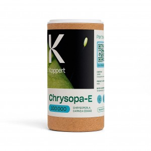 Comprar Chrysopa