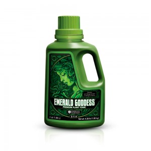 Comprar Goddess Emerald Harvest