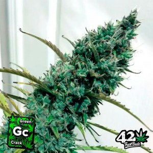 Comprar Green Crack Auto