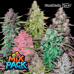 Comprar Mix Pack Auto