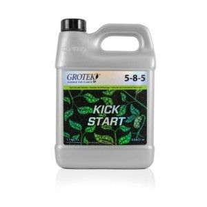 Comprar Kickstart