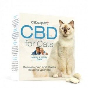 Comprar CBD-Pillen für Katzen