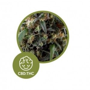 Comprar Klassisches CBD von La Rica