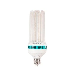 Comprar Solux blühende LED-Glühbirne