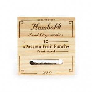 Comprar Passion Fruit Punch