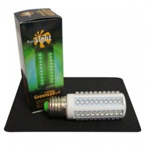 Comprar Grüne LED 3,5 W grüne Glühbirne