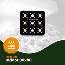Focos LED de 600w a 650w para cultivo ☑️ - LEDs Cultivo Interior
