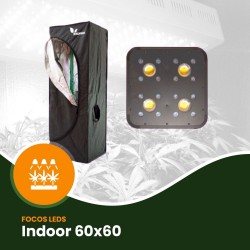 Comprar LEDs para Indoor 60x60