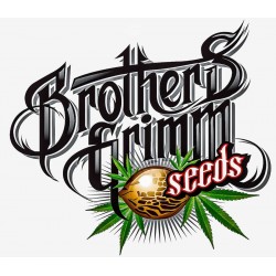 Comprar Brothers Grimm Seeds
