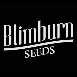 Blimburn Seeds Auto