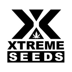 Comprar Xtreme Seeds