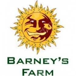 Comprar Semillas Feminizadas Barneys Farm