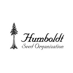 Comprar Autoflowering Seeds Humboldt Seed Organization