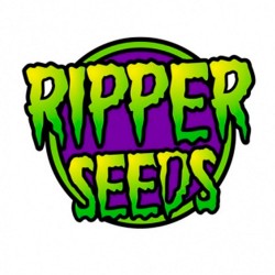 Ripper Seeds Auto