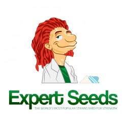 Comprar Expert Seeds Autoflowering