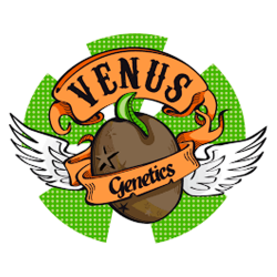 Comprar Venus Genetics