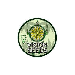 Comprar Vision Seeds