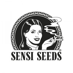 Comprar Sensi Seeds Autoflorecientes Regulares