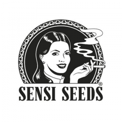 Comprar Sensi Seeds Regular Autoflowering