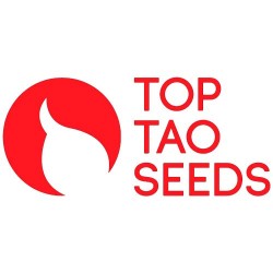 Comprar Top Tao Seeds Autoflorecientes Regulares
